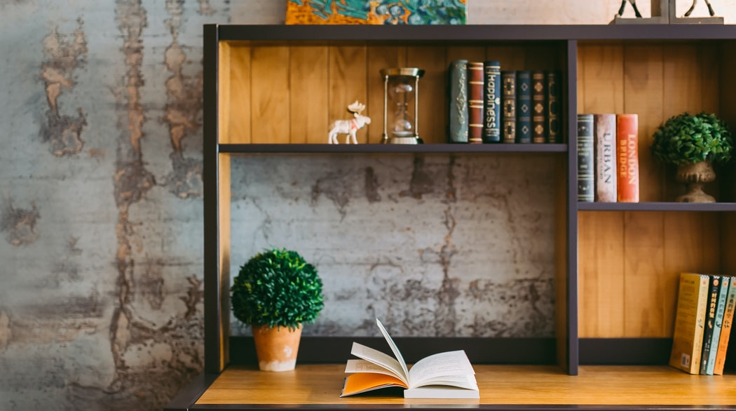 Shelves filled with books and plants  