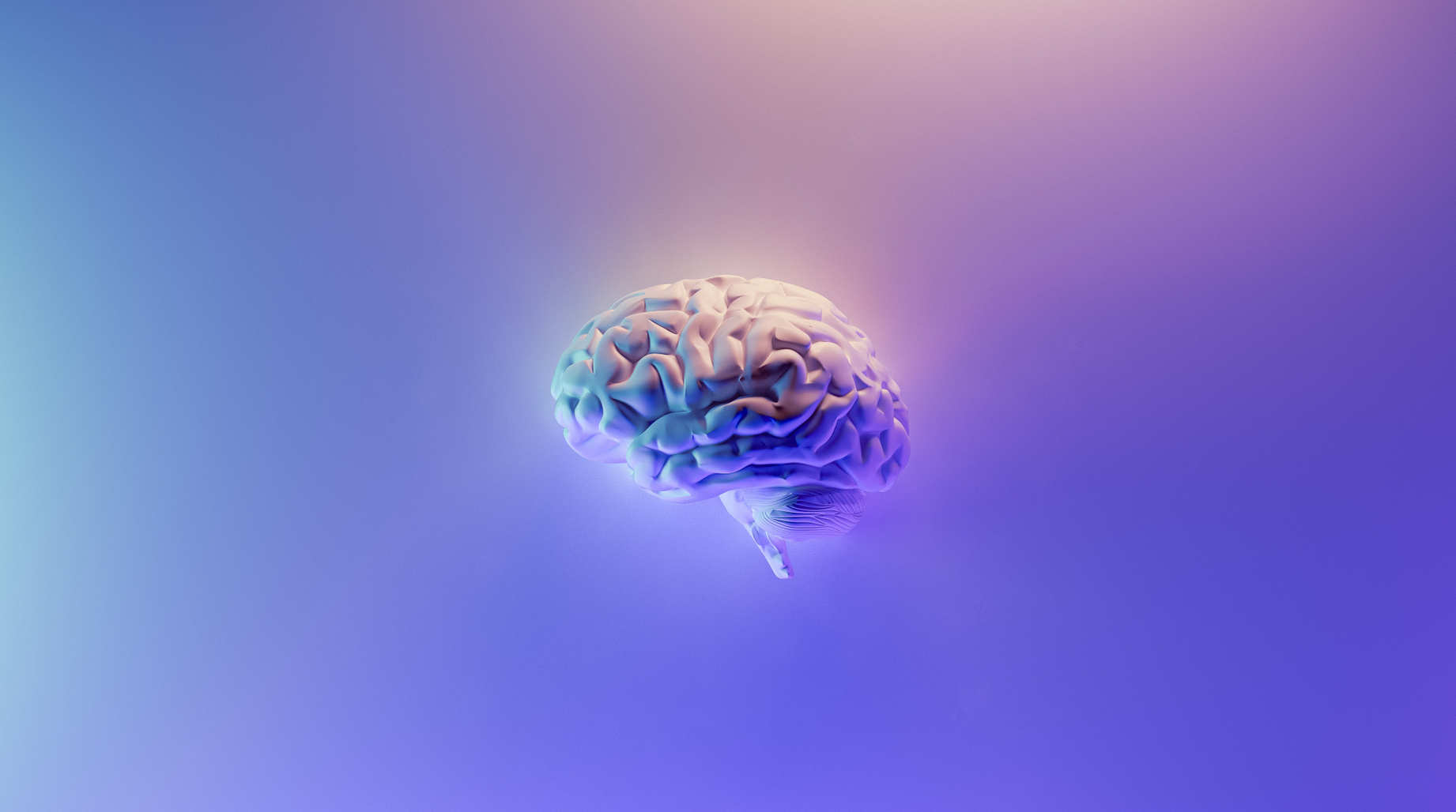 Représentation 3D du cerveau 