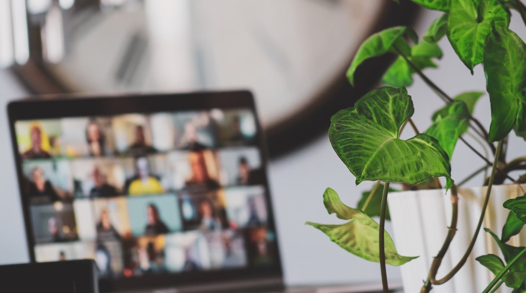 Online company meeting with a plant and a clock in the background 